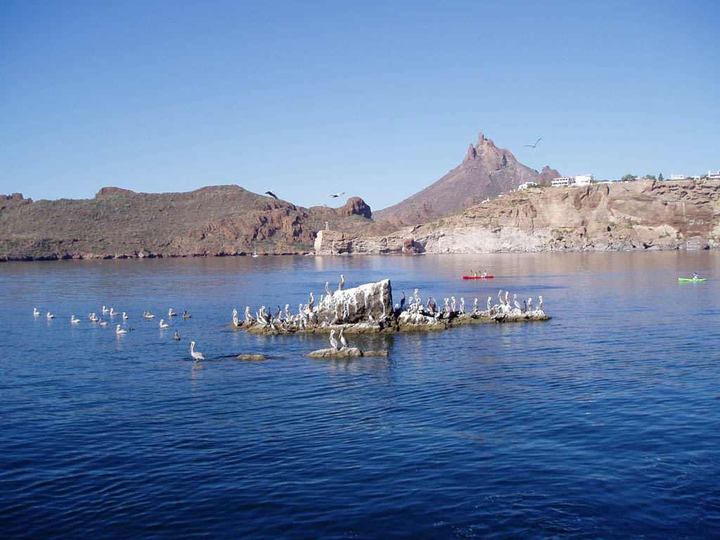 Day 3 - Sea of Cortez