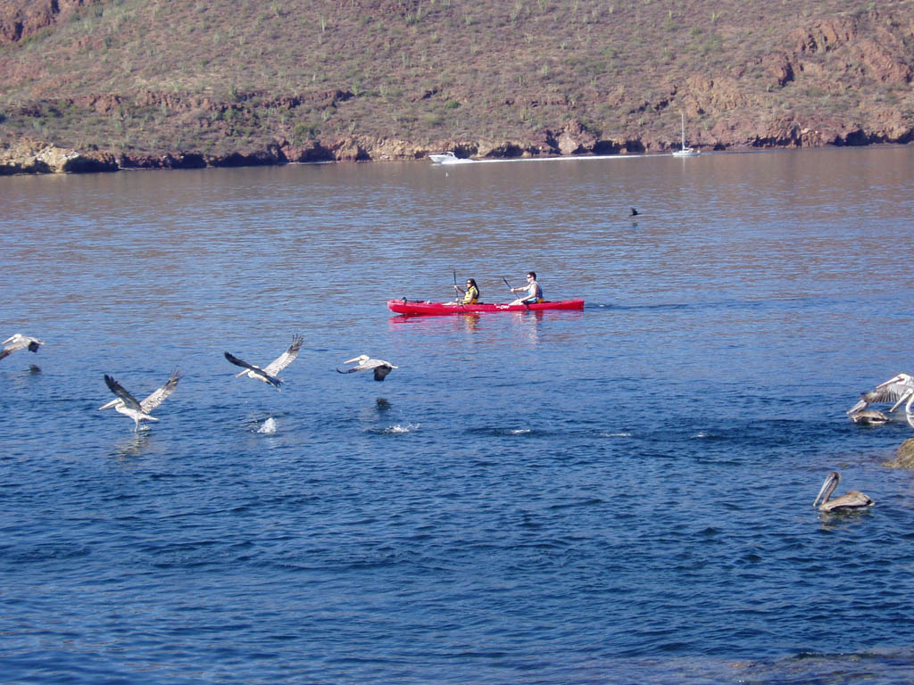 Day 3 - Sea of Cortez2