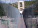 Day 7 - Suspension Bridge